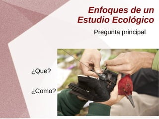 ¿Que?
¿Como?
Pregunta principal
Enfoques de un
Estudio Ecológico
 