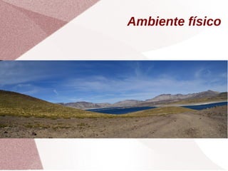 Ambiente físico
 