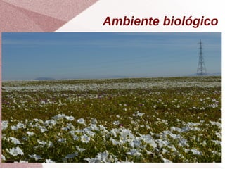 Ambiente biológico
 