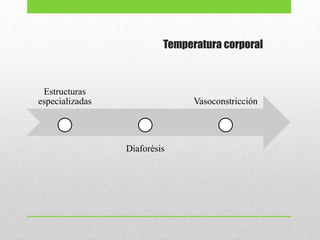 Temperatura corporal
Estructuras
especializadas
Diaforésis
Vasoconstricción
 