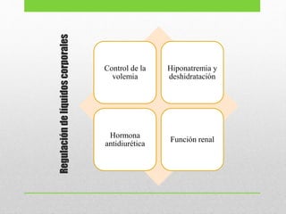 Regulacióndelíquidoscorporales Control de la
volemia
Hiponatremia y
deshidratación
Hormona
antidiurética
Función renal
 