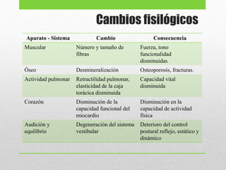 Cambios fisilógicos
Aparato - Sistema Cambio Consecuencia
Muscular Número y tamaño de
fibras
Fuerza, tono
funcionalidad
disminuidas
Óseo Desmineralización Osteoporosis, fracturas.
Actividad pulmonar Retractilidad pulmonar,
elasticidad de la caja
torácica disminuida
Capacidad vital
disminuida
Corazón Disminución de la
capacidad funcional del
miocardio
Disminución en la
capacidad de actividad
física
Audición y
equilibrio
Degeneración del sistema
vestibular
Deterioro del control
postural reflejo, estático y
dinámico
 