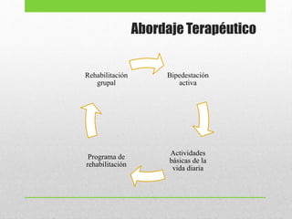 Abordaje Terapéutico
Bipedestación
activa
Actividades
básicas de la
vida diaria
Programa de
rehabilitación
Rehabilitación
grupal
 
