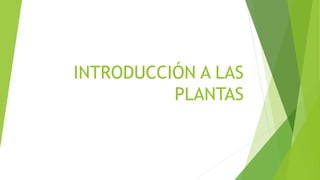 INTRODUCCIÓN A LAS
PLANTAS
 