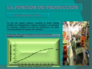 La fila del cuadro anterior, muestra el factor trabajo
medido en trabajadores a tiempo completo a la semana;
la columna contiene el nivel de producción de ellos,
correspondiente en globos por semana.
Graficando estas dos variables se tiene la curva del
producto total (PT)
 