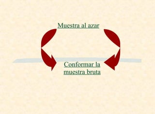 Conformar la muestra bruta Muestra al azar 