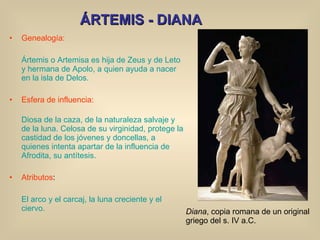 ÁRTEMIS - DIANA Genealogía: Ártemis o Artemisa es hija de Zeus y de Leto y hermana de Apolo, a quien ayuda a nacer en la isla de Delos. Esfera de influencia: Diosa de la caza, de la naturaleza salvaje y de la luna. Celosa de su virginidad, protege la castidad de los jóvenes y doncellas, a quienes intenta apartar de la influencia de Afrodita, su antítesis. Atributos : El arco y el carcaj, la luna creciente y el ciervo. Diana , copia romana de un original griego del s. IV a.C. 