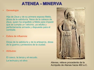 ATENEA - MINERVA Genealogía: Hija de Zeus y de su primera esposa Metis, diosa de la sabiduría. Nace de la cabeza de Zeus, quien ha engullido a Metis para impedir que se cumpla un vaticinio, ya adulta y perfectamente armada y dispuesta para el combate. Esfera de influencia: Diosa de la sabiduría y de la artesanía, diosa de la guerra y protectora de la ciudad. Atributos : El casco, la lanza y el escudo.  La lechuza y el olivo Atenea , relieve procedente de la Acrópolis de Atenas hacia 460 a.C. 