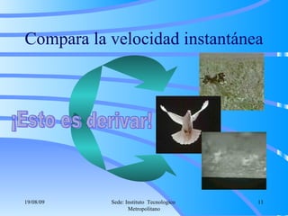 Compara la velocidad instantánea ¡Esto es derivar! 06/06/09 Sede: Instituto  Tecnologico  Metropolitano 