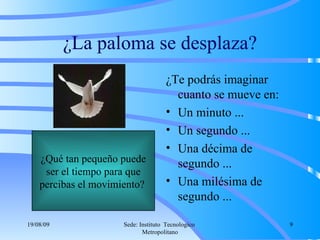 ¿La paloma se desplaza? ¿Te podrás imaginar cuanto se mueve en: Un minuto ... Un segundo ... Una décima de segundo ... Una milésima de segundo ... ¿Qué tan pequeño puede ser el tiempo para que percibas el movimiento?  06/06/09 Sede: Instituto  Tecnologico  Metropolitano 