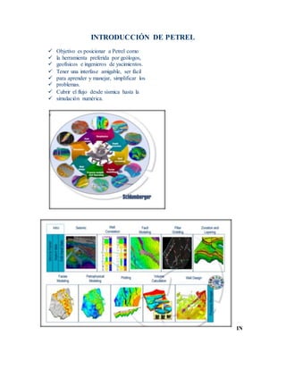 INTRODUCCIÓN DE PETREL
 Objetivo es posicionar a Petrel como
 la herramienta preferida por geólogos,
 geofísicos e ingenieros de yacimientos.
 Tener una interfase amigable, ser fácil
 para aprender y manejar, simplificar los
 problemas.
 Cubrir el flujo desde sísmica hasta la
 simulación numérica.
IN
 