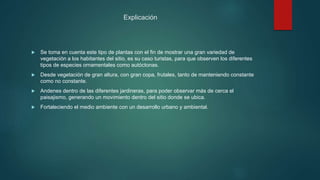 Explicación
 Se toma en cuenta este tipo de plantas con el fin de mostrar una gran variedad de
vegetación a los habitantes del sitio, es su caso turistas, para que observen los diferentes
tipos de especies ornamentales como autóctonas.
 Desde vegetación de gran altura, con gran copa, frutales, tanto de manteniendo constante
como no constante.
 Andenes dentro de las diferentes jardineras, para poder observar más de cerca el
paisajismo, generando un movimiento dentro del sitio donde se ubica.
 Fortaleciendo el medio ambiente con un desarrollo urbano y ambiental.
 