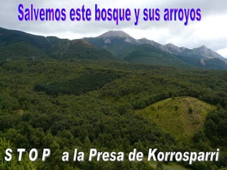 Salvemos este bosque y sus arroyos S T O P  a la Presa de Korrosparri 
