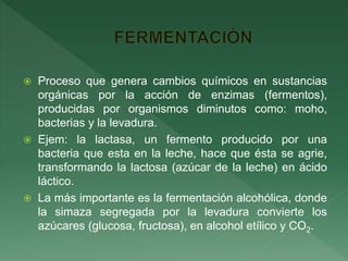  Proceso que genera cambios químicos en sustancias
orgánicas por la acción de enzimas (fermentos),
producidas por organismos diminutos como: moho,
bacterias y la levadura.
 Ejem: la lactasa, un fermento producido por una
bacteria que esta en la leche, hace que ésta se agrie,
transformando la lactosa (azúcar de la leche) en ácido
láctico.
 La más importante es la fermentación alcohólica, donde
la simaza segregada por la levadura convierte los
azúcares (glucosa, fructosa), en alcohol etílico y CO2.
 