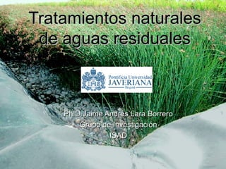 Tratamientos naturales de aguas residuales Ph.D Jaime Andrés Lara Borrero Grupo de Investigación ISAD 