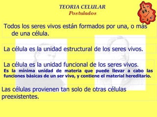 TEORIA   CELULAR Postulados Todos los seres vivos están formados por una, o más de una célula. La célula es la unidad estructural de los seres vivos.   La célula es la unidad funcional de los seres vivos .  Es la mínima unidad de materia que puede llevar a cabo las funciones básicas de un ser vivo, y contiene el material hereditario. Las células provienen tan solo de otras células preexistentes. 