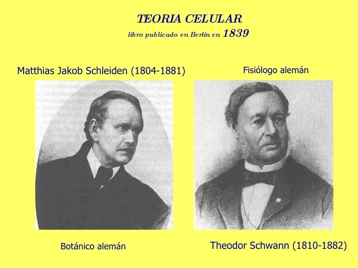 A Teoria Celular Proposta Por Schleiden E Schwann Afirma Que