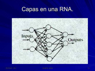 Capas en una RNA. 