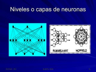 Niveles o capas de neuronas 