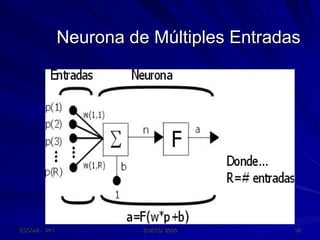 Neurona de Múltiples Entradas 