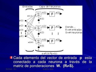 Cada elemento del vector de entrada  p   esta conectado a cada neurona a través de la matriz de ponderaciones  W.  (R  S). 