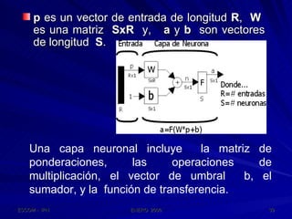 p  es un vector de entrada de longitud  R ,  W   es una matriz  SxR   y,  a  y  b   son vectores de longitud  S .  Una capa neuronal incluye  la matriz de ponderaciones, las operaciones de multiplicación, el vector de umbral  b, el sumador, y la  función de transferencia. 