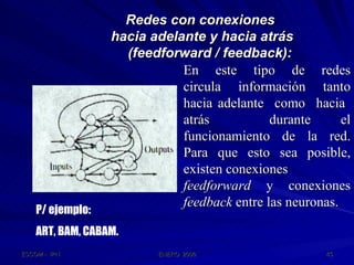 Redes con conexiones  hacia adelante y hacia atrás   (feedforward / feedback): En  este  tipo  de  redes circula información tanto hacia adelante  como  hacia  atrás  durante el funcionamiento de la red. Para que esto sea posible, existen conexiones feedforward  y conexiones  feedback  entre las neuronas. P/ ejemplo:  ART, BAM, CABAM. 