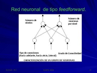 Red neuronal  de tipo  feedforward . 