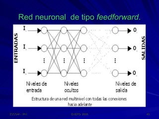 Red neuronal  de tipo  feedforward . 