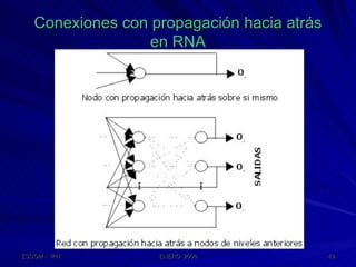 Conexiones con propagación hacia atrás en RNA 