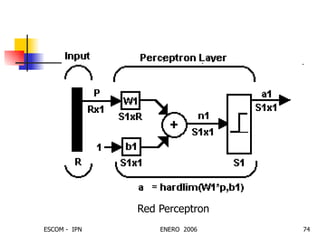 Red Perceptron 