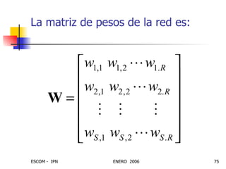 La matriz de pesos de la red es: 