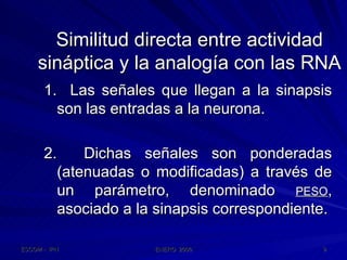 Similitud directa entre actividad sináptica y la analogía con las RNA 1.  Las señales que llegan a la sinapsis son las entradas a la neurona. 2.  Dichas señales son ponderadas (atenuadas o modificadas) a través de un parámetro, denominado  PESO , asociado a la sinapsis correspondiente. 