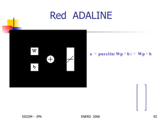 Red  ADALINE a p u r e l i n W p b +   W p b + = = a i p u r e l i n n i   p u r e l i n w T i p b i +   w T i p b i + = = =  w i w i 1  w i 2  w i R  = 