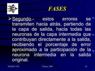FASES Segundo .- estos errores se transmiten hacia atrás, partiendo de la capa de salida, hacia todas las neuronas de la capa intermedia que contribuyan directamente a la salida, recibiendo el porcentaje de error aproximado a la participación de la neurona intermedia en la salida original. 