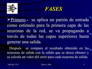 FASES Primero .-  se aplica un patrón de entrada como estímulo para la primera capa de las neuronas de la red, se va propagando a través de todas las capas superiores hasta generar una salida. Después  se compara el resultado obtenido en las neuronas de salida con la salida que se desea obtener y se calcula un valor del error para cada neurona de salida. 