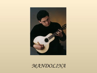 MANDOLINA 