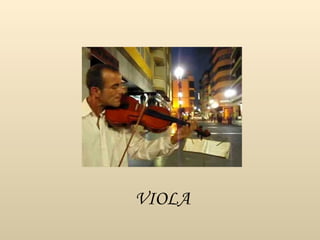 VIOLA 