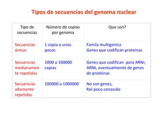   Tipos de secuencias del genoma nuclear   Tipo de secuencias Número de copias por genoma Que son? Secuencias únicas 1 copia o unos pocos Famila multigenica Genes que codifican proteinas Secuencias medianamente repetidas 1000 a 100000 copias  Genes que codifican  para ARNr, ARNt, eventualmente de genes de protéinas Secuencias altamente repetidas 100000 a 1000000 No son genes, Rol poco conocido 