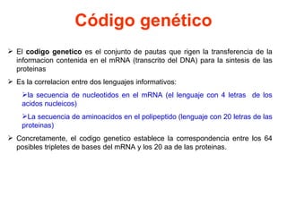 Código genético El  codigo genetico  es el conjunto de pautas que rigen la transferencia de la informacion contenida en el mRNA (transcrito del DNA) para la sintesis de las proteinas Es la correlacion entre dos lenguajes informativos:  la secuencia de nucleotidos en el mRNA (el lenguaje con 4 letras  de los acidos nucleicos)  La secuencia de aminoacidos en el polipeptido (lenguaje con 20 letras de las proteinas) Concretamente, el codigo genetico establece la correspondencia entre los 64 posibles tripletes de bases del mRNA y los 20 aa de las proteinas. 