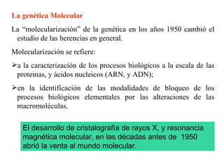 La genética Molecular La “molecularización” de la genética en los años 1950 cambió el estudio de las herencias en general.  Molecularización se refiere: a la caracterización de los procesos biológicos a la escala de las proteinas, y ácidos nucleicos (ARN, y ADN);  en la identificación de las modalidades de bloqueo de los procesos biológicos elementales por las alteraciones de las macromoléculas.  El desarrollo de cristalografía de rayos X, y resonancia magnética molecular, en las décadas antes de  1950 abrió la venta al mundo molecular.  