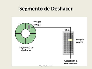 Segmento de Deshacer
Miguel O. Urbina M.
 