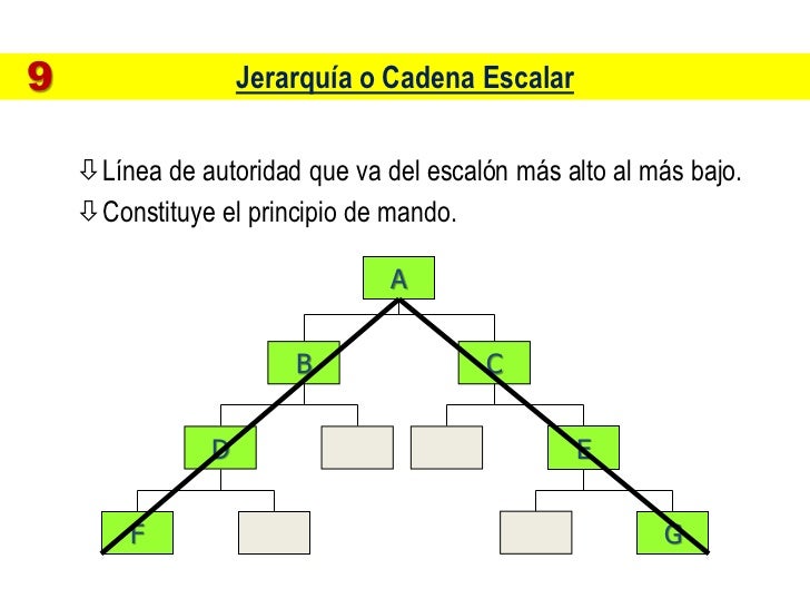 Resultado de imagen de jerarquia segun fayol