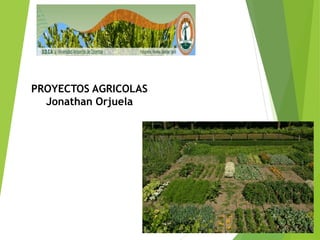 PROYECTOS AGRICOLAS
Jonathan Orjuela
 