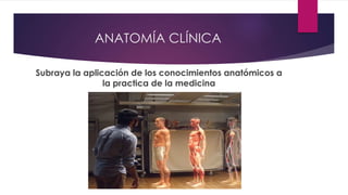 ANATOMÍA CLÍNICA
Subraya la aplicación de los conocimientos anatómicos a
la practica de la medicina
 