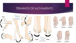 TÉRMINOS DE MOVIMIENTO
 