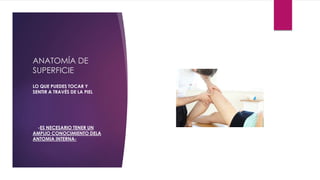 ANATOMÍA DE
SUPERFICIE
LO QUE PUEDES TOCAR Y
SENTIR A TRAVÉS DE LA PIEL
-ES NECESARIO TENER UN
AMPLIO CONOCIMIENTO DELA
ANTOMIA INTERNA-
 