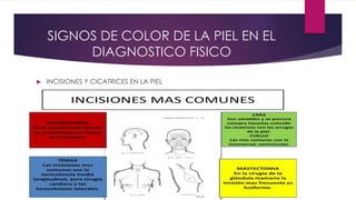SIGNOS DE COLOR DE LA PIEL EN EL
DIAGNOSTICO FISICO
 INCISIONES Y CICATRICES EN LA PIEL
 