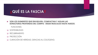 ¿QUÉ ES LA FASCIA?
 SON LOS ELEMENTOS QUE ENVUELVEN, COMPACTAN Y AISLAN LAS
ESTRUCTURAS PROFUNDAS DEL CUERPO: DESDE MUSCULOS HASTA HUESOS.
FUNCIONES:
 SOSTENIBLIDAD
 RECUBRIMIENTO
 PROTECCIÓN
 CURACIÓN DE HERIDAD, GRACIAS AL COLÁGENO.
 