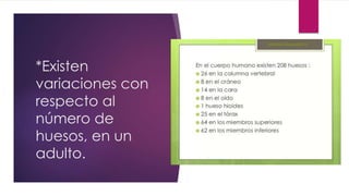 *Existen
variaciones con
respecto al
número de
huesos, en un
adulto.
 